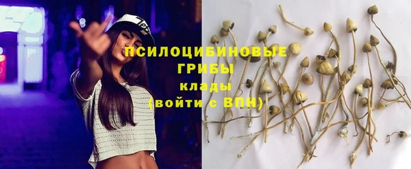 MESCALINE Арсеньев