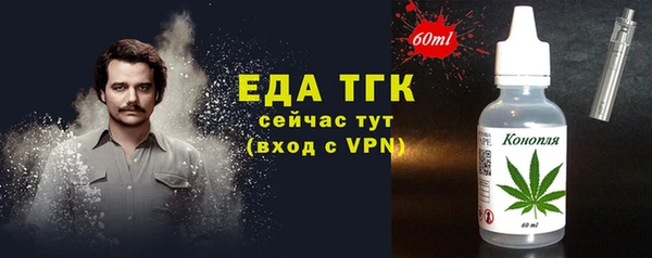 индика Ельня
