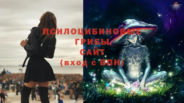 ECSTASY Аркадак