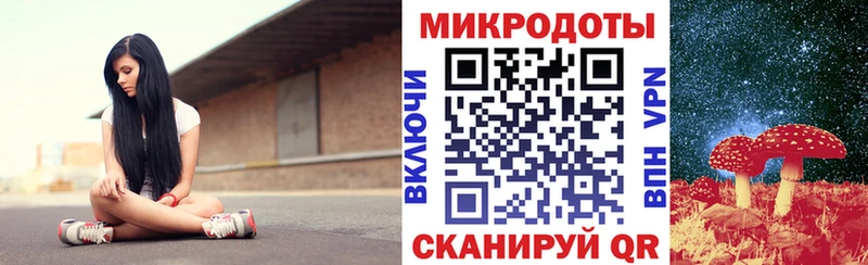 Псилоцибиновые грибы Psilocybe  Новошахтинск 