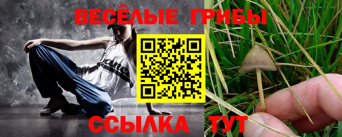 Галлюциногенные грибы прущие грибы Новошахтинск