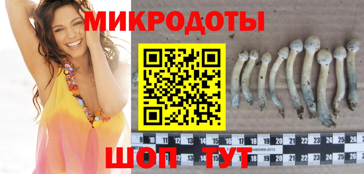 Новошахтинск  Галлюциногенные грибы мухоморы  Вход с VPN 