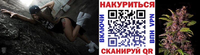 Конопля план  kraken ССЫЛКА  Новошахтинск  где продают  