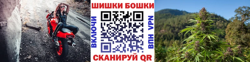 Каннабис семена Новошахтинск